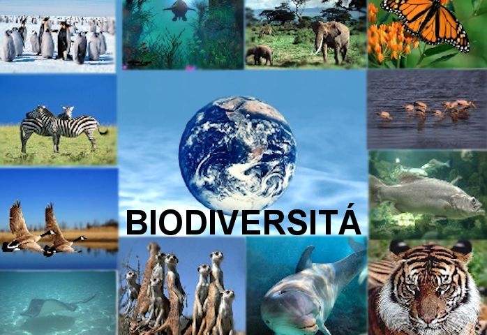 Giornata mondiale della biodiversità