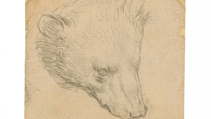 Testa di orso di Leonardo Da Vinci all’incanto a New York, per 9-13 milioni di euro