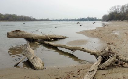 Siccità, manca l’acqua, possibili razionamenti mentre i raccolti sono a rischio