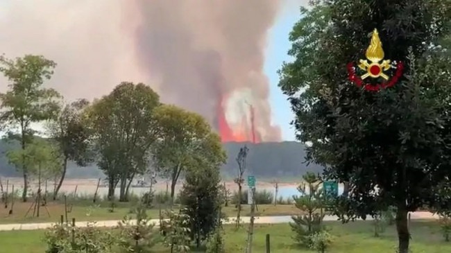 Incendio nella pineta di Bibione, di natura dolosa