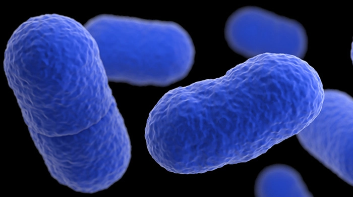 Listeria: un morto ad Alessandria