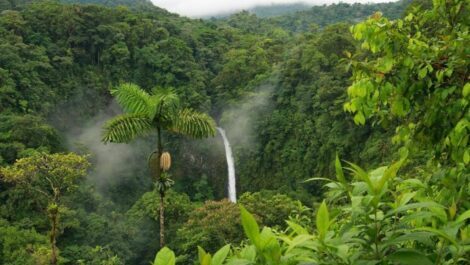 Turista italiano disperso, salvato in Amazzonia