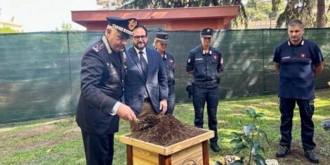 L’albero di Giovanni Falcone piantato alla caserma del Ros di Roma