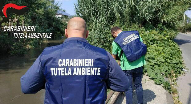 Traffico rifiuti tra Campania e Puglia, arrestati dai carabinieri del NOE diversi imprenditori