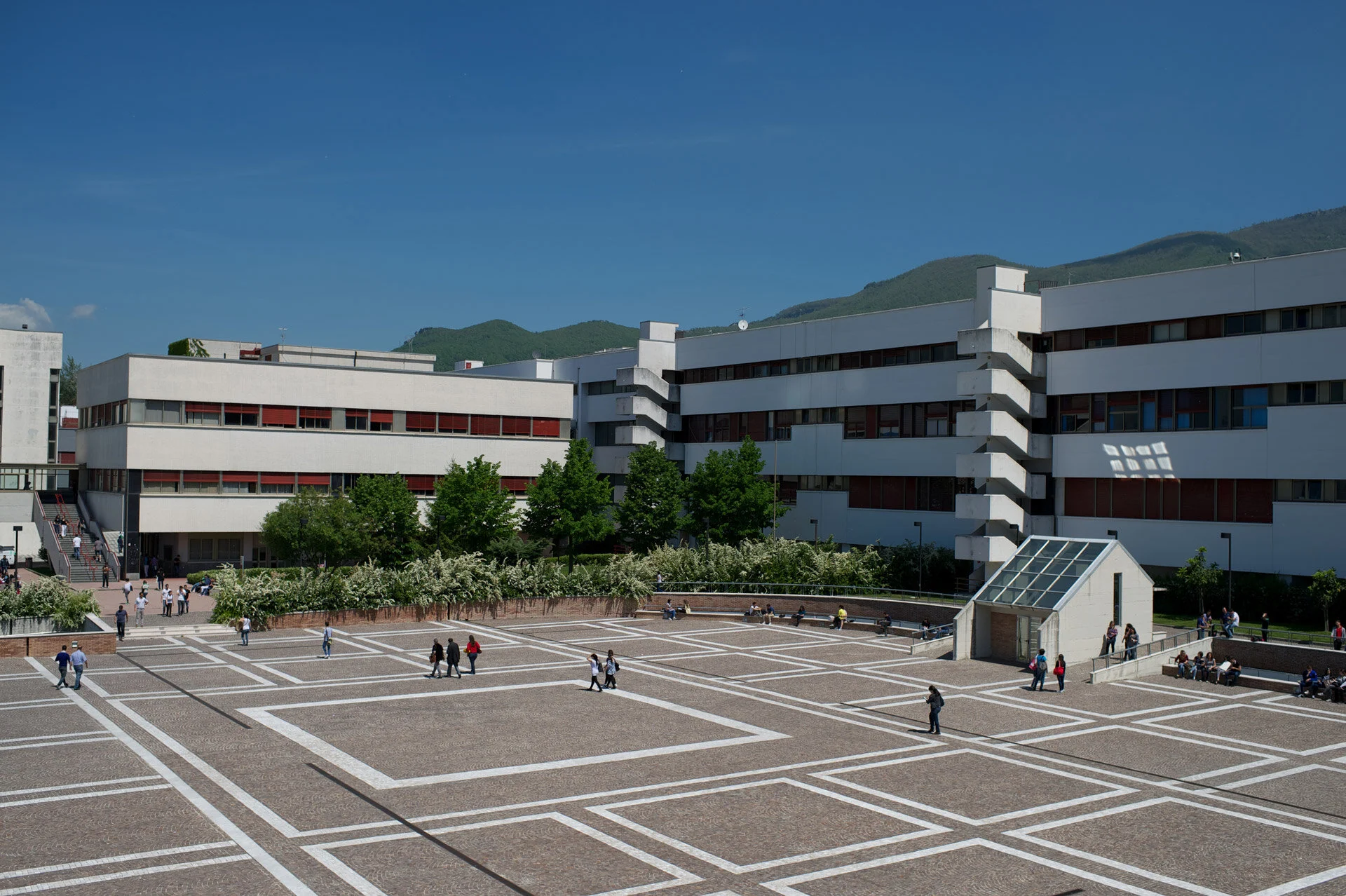 Salerno, cade albero nel campus dell’Università a Fisciano: 3 giovani feriti